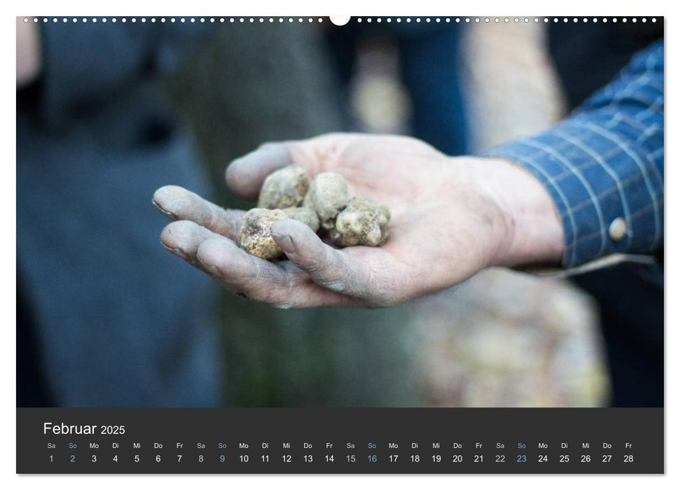 Piemont im Herbst: Wein und Trüffel (CALVENDO Premium Wandkalender 2025)