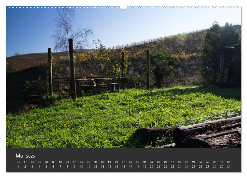 Piemont im Herbst: Wein und Trüffel (CALVENDO Premium Wandkalender 2025)