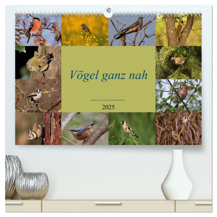 Vögel ganz nah (CALVENDO Premium Wandkalender 2025)