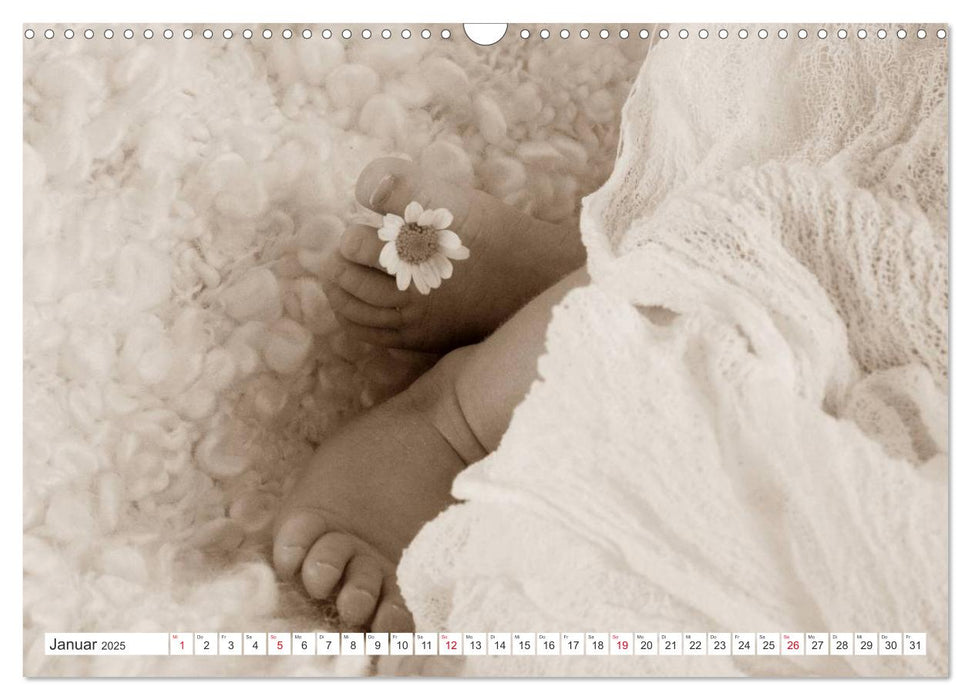 Babys - Willkommen im Leben (CALVENDO Wandkalender 2025)