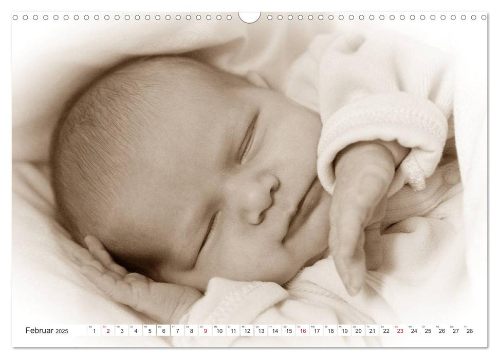 Babys - Willkommen im Leben (CALVENDO Wandkalender 2025)