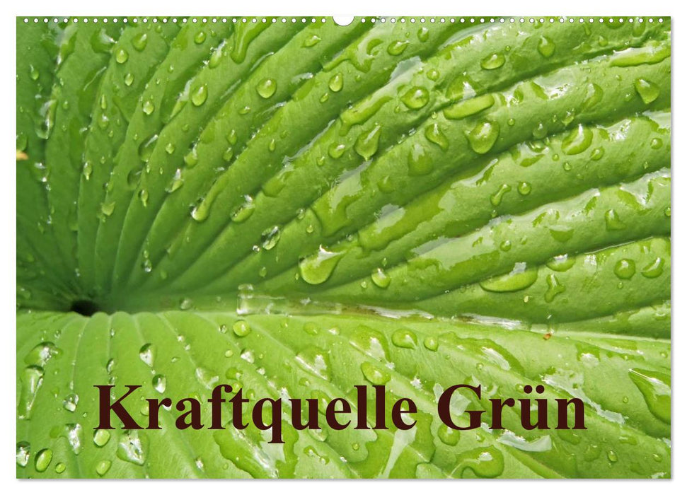 Kraftquelle Grün (CALVENDO Wandkalender 2025)