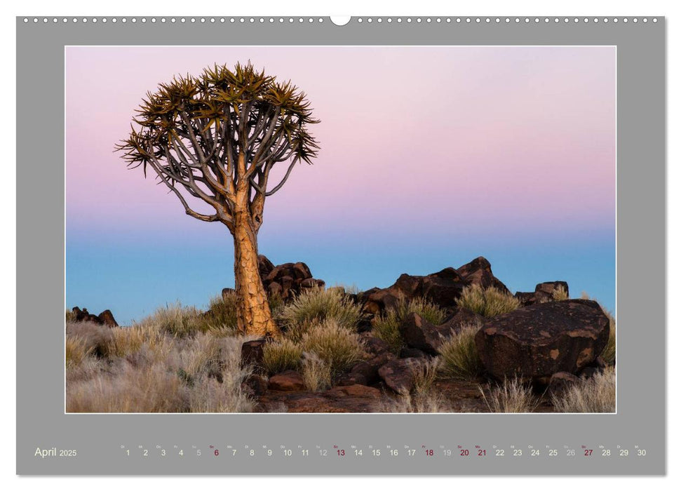 Namibia - Die Farben der Namib (CALVENDO Premium Wandkalender 2025)