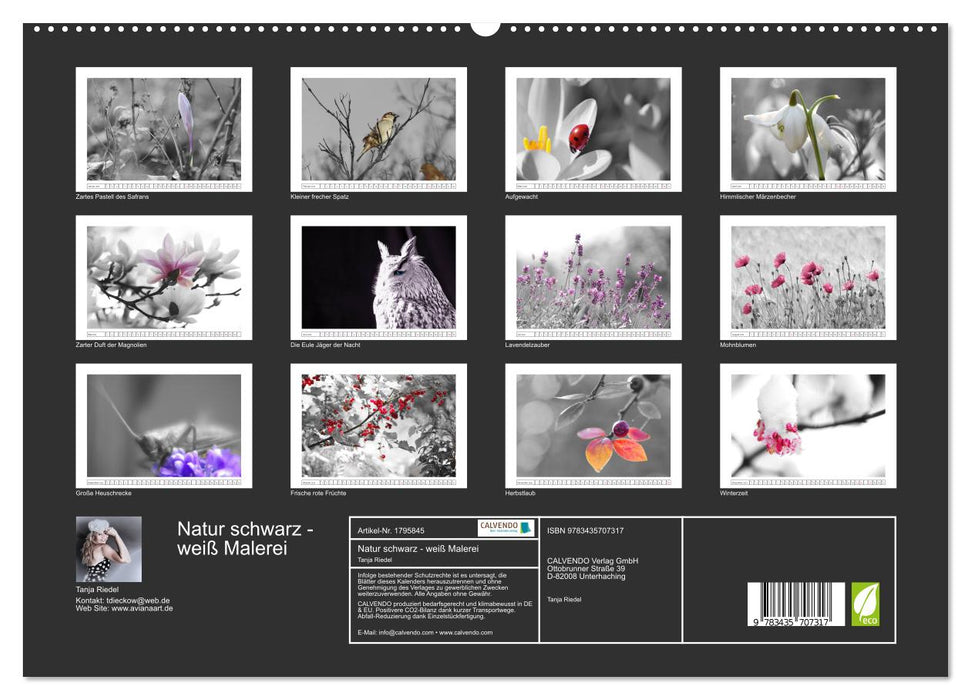 Natur schwarz - weiß Malerei (CALVENDO Premium Wandkalender 2025)