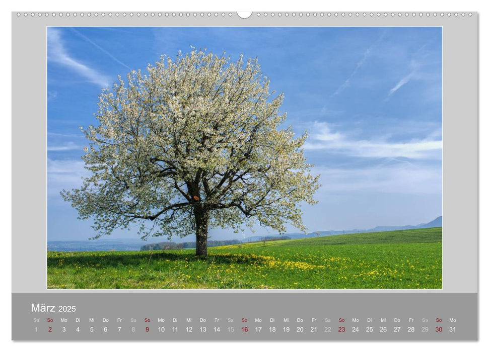 Schweiz - Impressionen der idyllischen Bergwelt im Laufe der Jahreszeiten (CALVENDO Premium Wandkalender 2025)