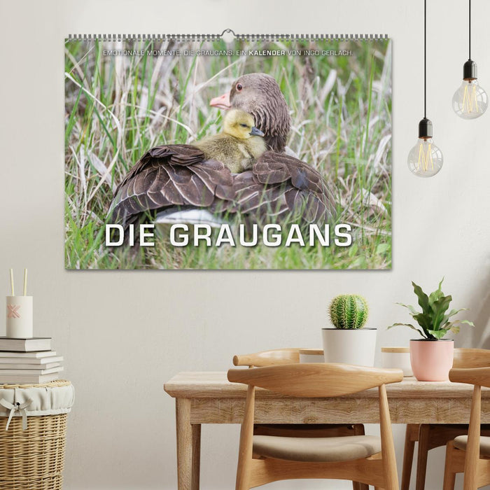 Emotionale Momente: Die Graugans. (CALVENDO Wandkalender 2025)