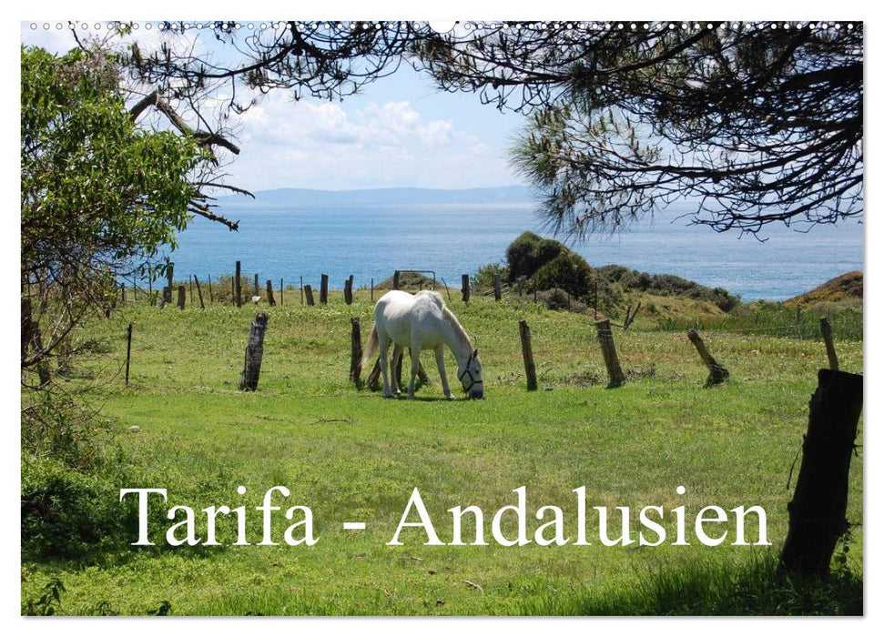 Tarifa - Andalusien (CALVENDO Wandkalender 2025)