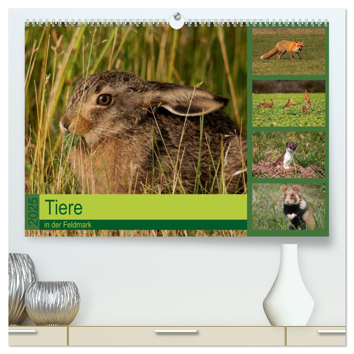 Tiere in der Feldmark (CALVENDO Premium Wandkalender 2025)