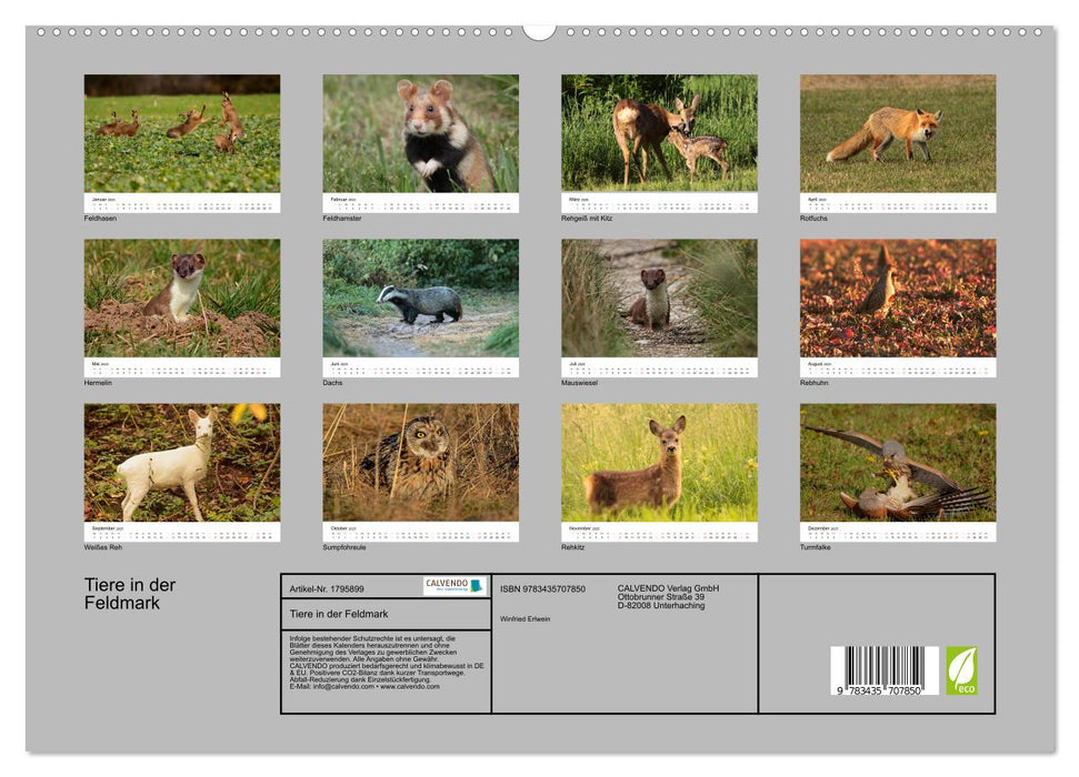 Tiere in der Feldmark (CALVENDO Premium Wandkalender 2025)