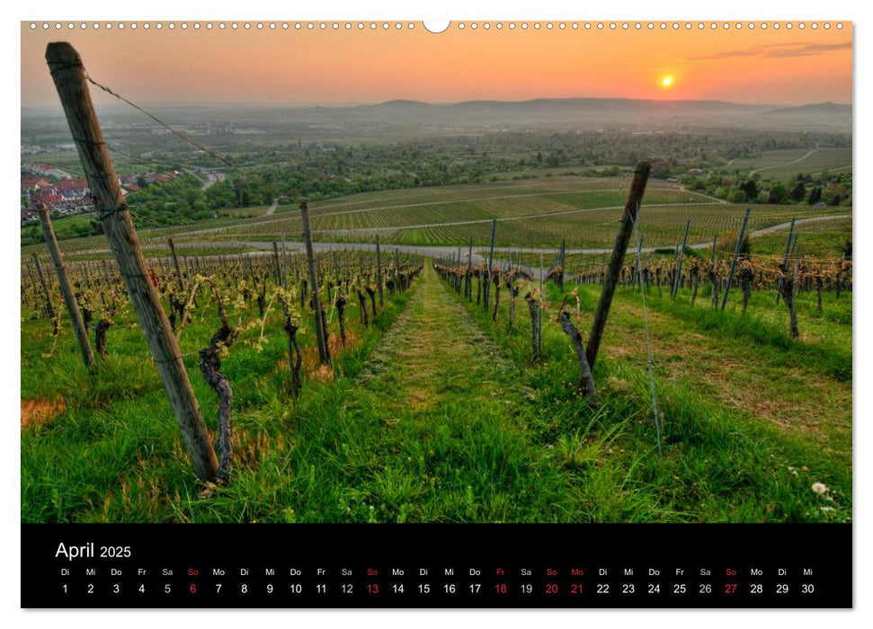 Weinberge im Remstal (CALVENDO Premium Wandkalender 2025)