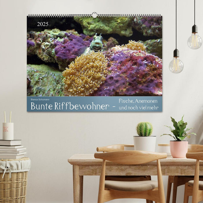 Bunte Riffbewohner - Fische, Anemonen und noch viel mehr (CALVENDO Wandkalender 2025)