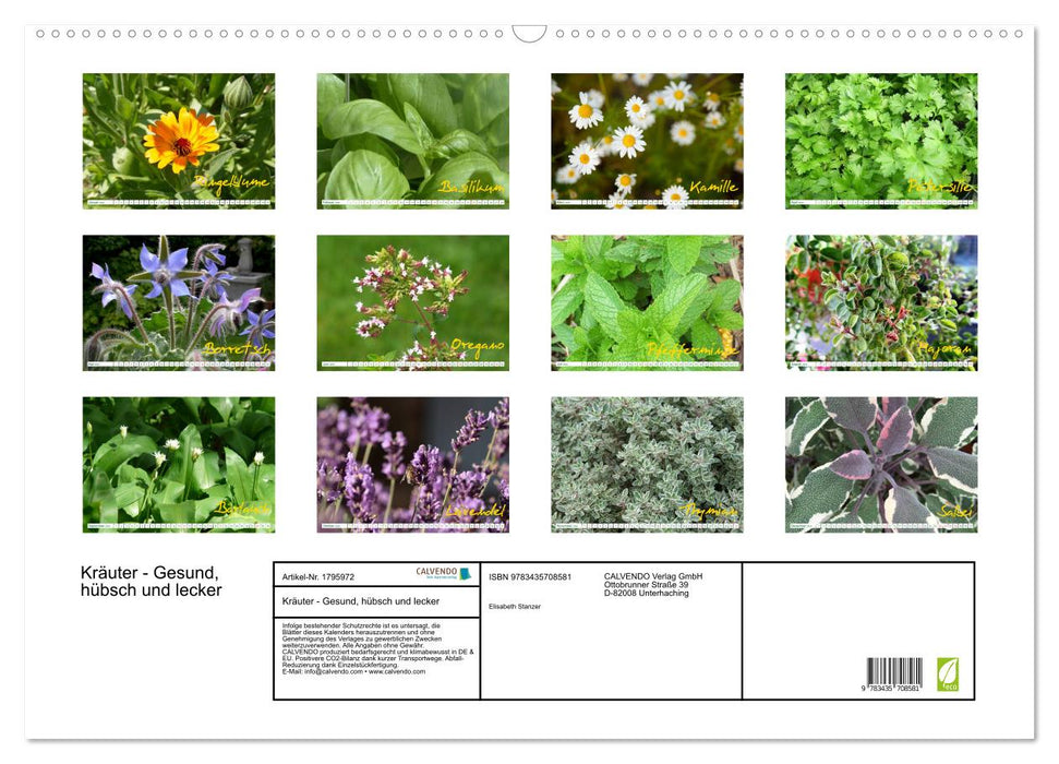 Kräuter - Gesund, hübsch und lecker (CALVENDO Wandkalender 2025)