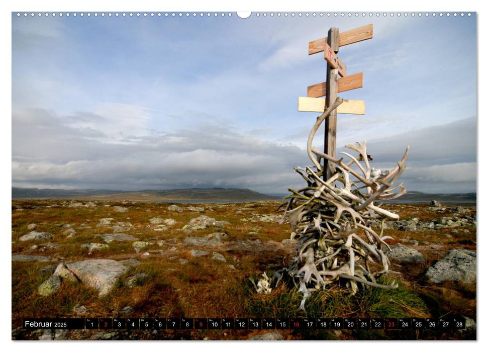 Streifzug durch Norwegens Hardangervidda (CALVENDO Premium Wandkalender 2025)