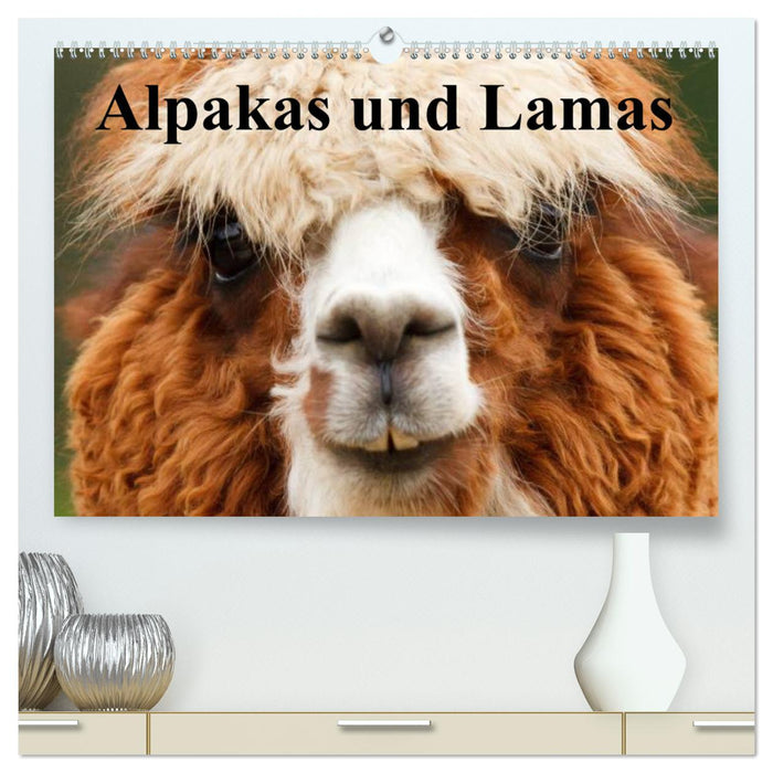 Alpakas und Lamas (CALVENDO Premium Wandkalender 2025)