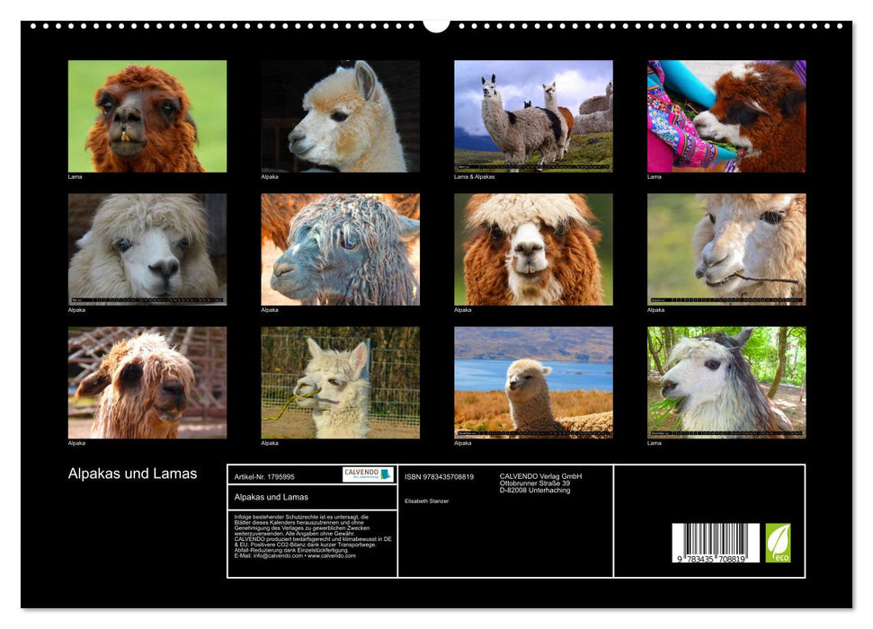 Alpakas und Lamas (CALVENDO Premium Wandkalender 2025)