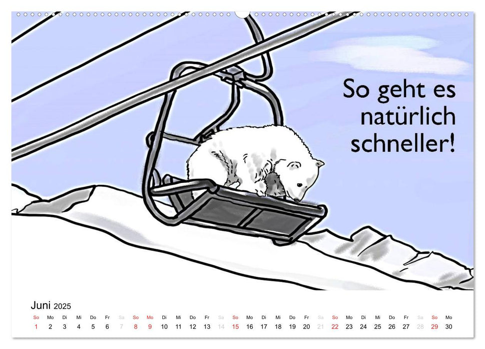 Rettet die Eisbären (CALVENDO Premium Wandkalender 2025)
