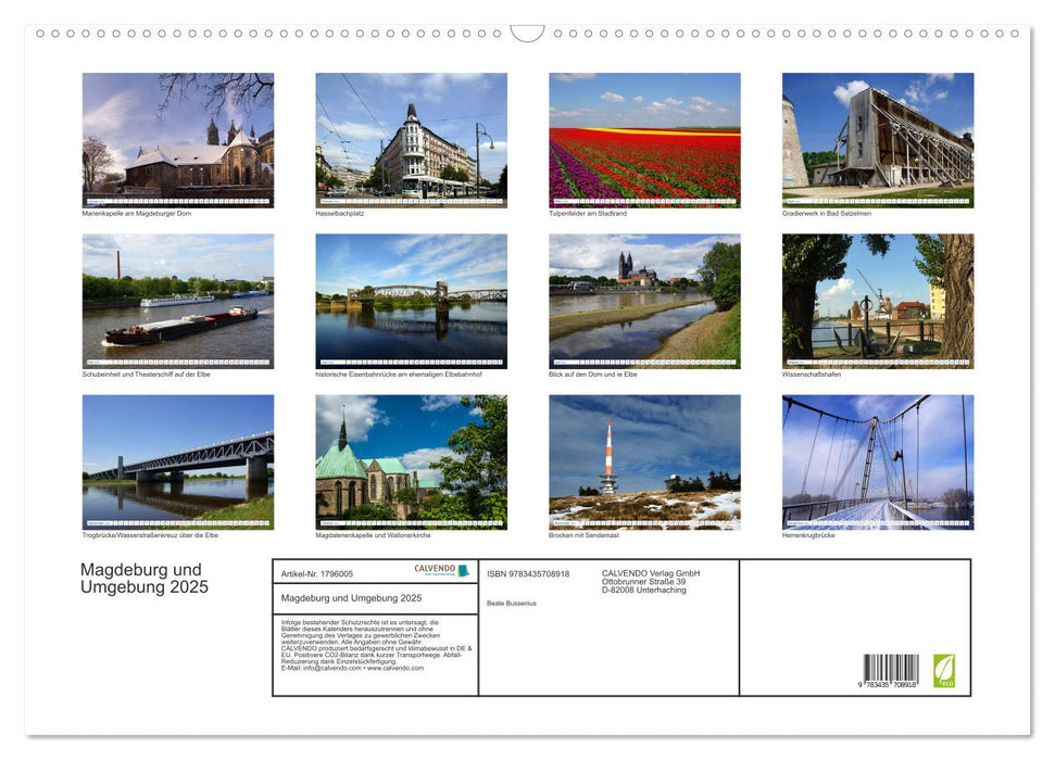 Magdeburg und Umgebung 2025 (CALVENDO Wandkalender 2025)