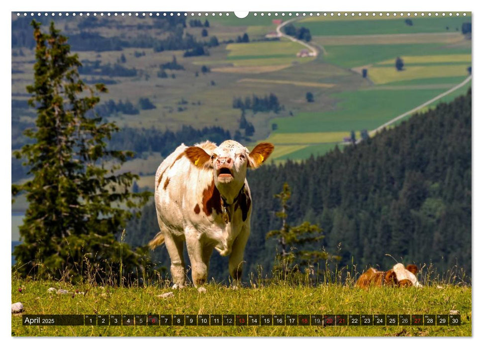 Traumhaftes Allgäu (CALVENDO Premium Wandkalender 2025)