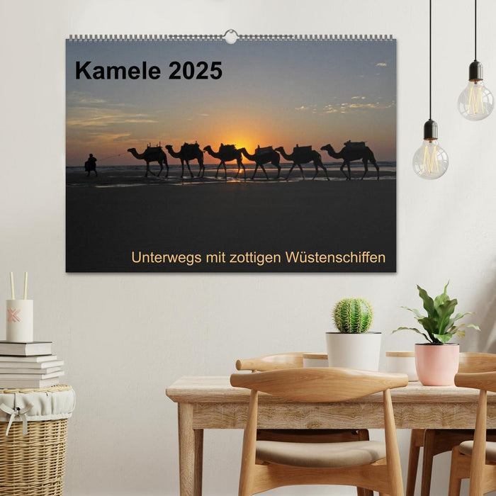 Kamele 2025 - Unterwegs mit zottigen Wüstenschiffen (CALVENDO Wandkalender 2025)