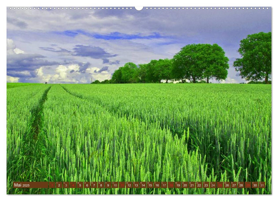 Agrarwirtschaft - Impressionen (CALVENDO Premium Wandkalender 2025)