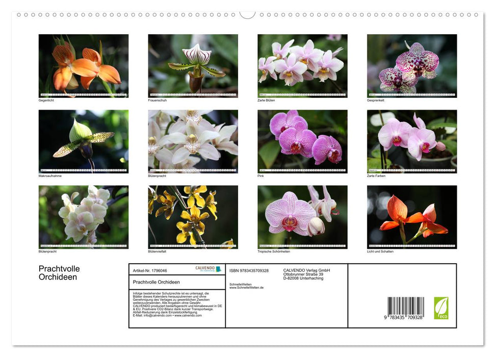 Prachtvolle Orchideen (CALVENDO Premium Wandkalender 2025)