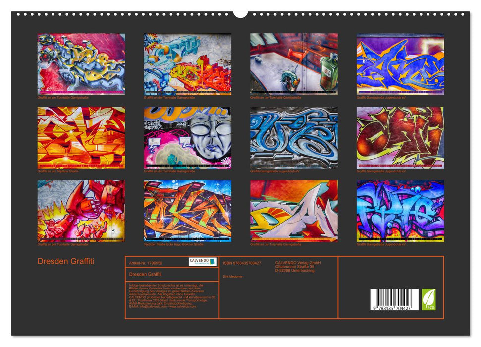 Dresden Graffiti (CALVENDO Premium Wandkalender 2025)