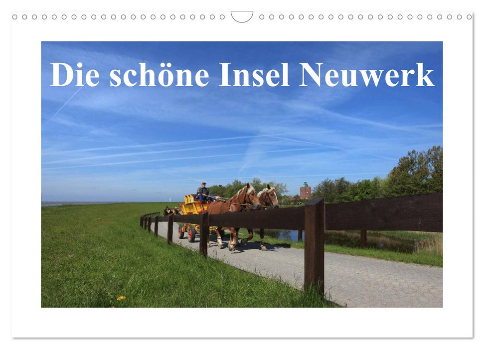 Die schöne Insel Neuwerk (CALVENDO Wandkalender 2025)