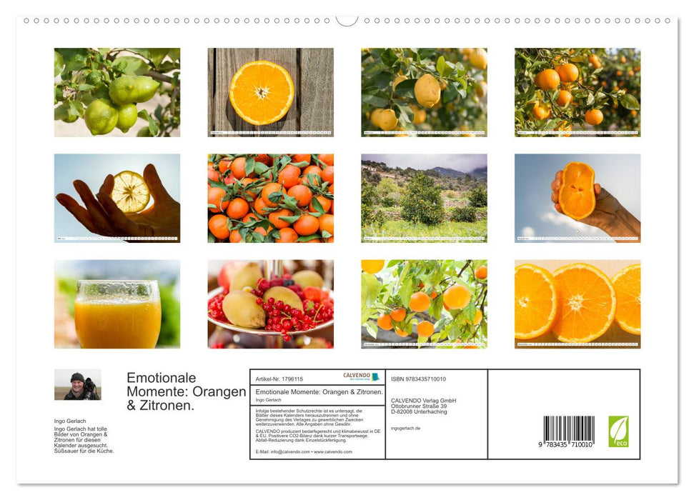 Emotionale Momente: Orangen & Zitronen. (CALVENDO Premium Wandkalender 2025)