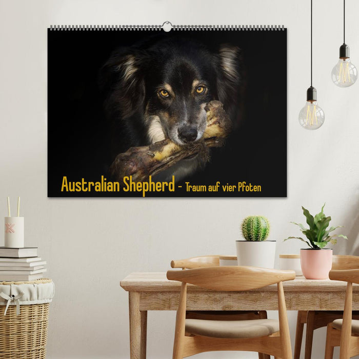 Australian Shepherd - Traum auf vier Pfoten (CALVENDO Wandkalender 2025)