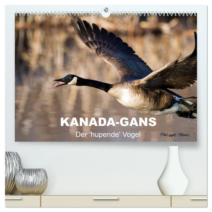 KANADA-GANS - Der 'hupende' Vogel (CALVENDO Premium Wandkalender 2025)