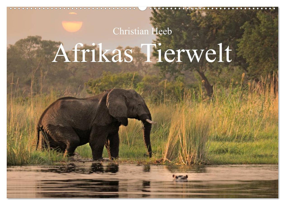 Afrikas Tierwelt Christian Heeb (CALVENDO Wandkalender 2025)