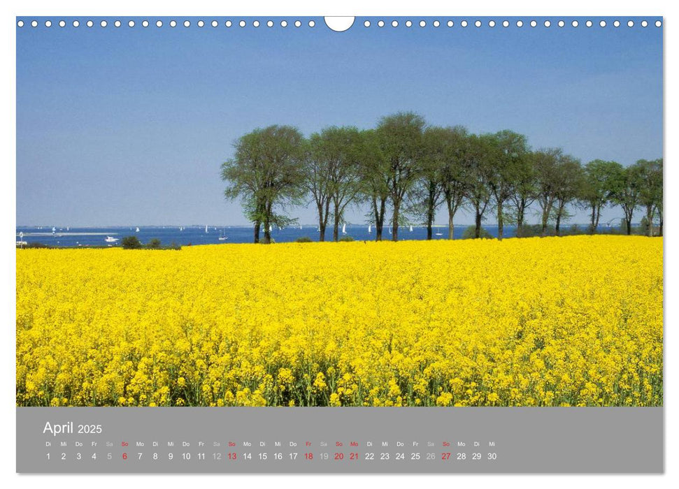 Blick auf die Nord-und Ostsee (CALVENDO Wandkalender 2025)