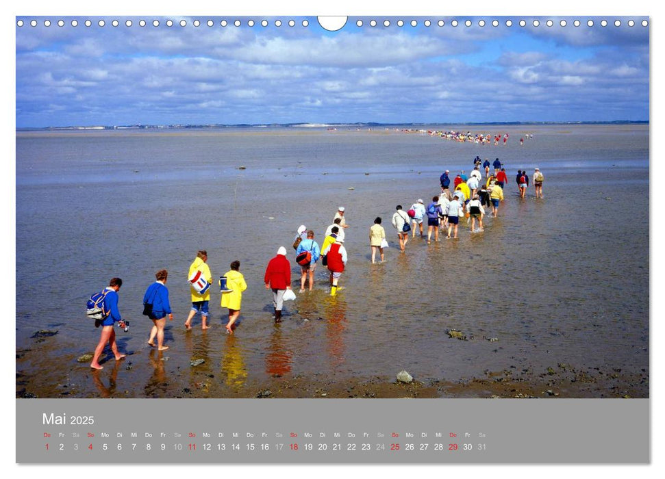 Blick auf die Nord-und Ostsee (CALVENDO Wandkalender 2025)