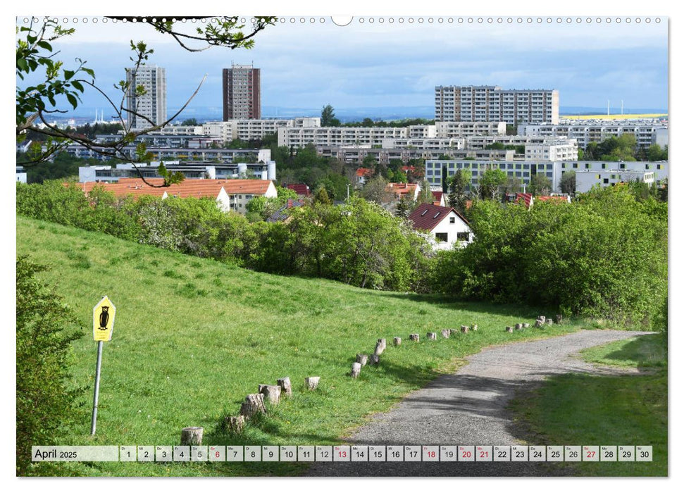 Architektur-Charme der DDR (Erfurt) (CALVENDO Wandkalender 2025)