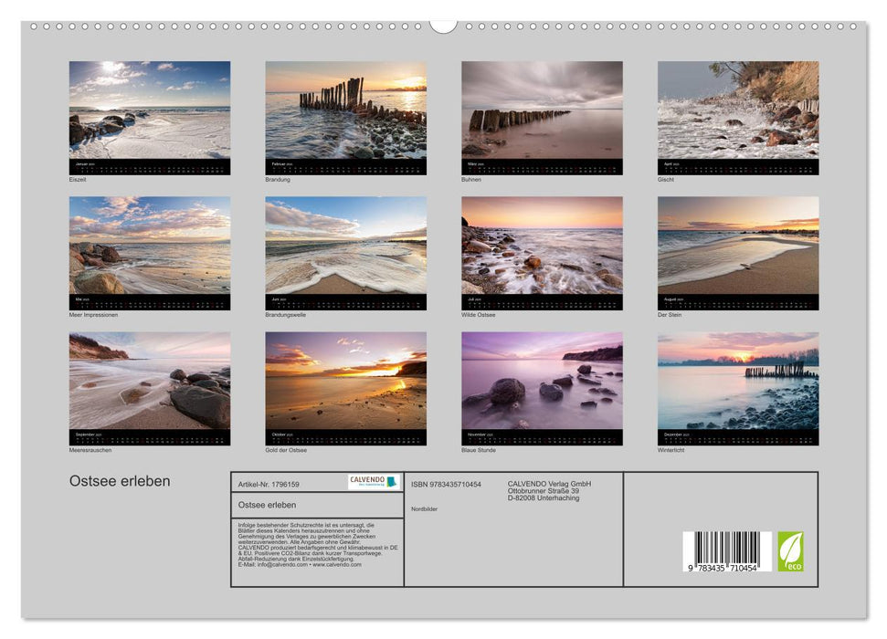 Ostsee erleben (CALVENDO Premium Wandkalender 2025)