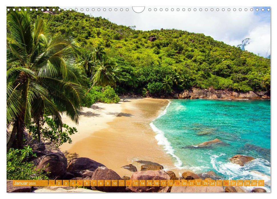 Seychellen - Die schönsten Strände (CALVENDO Wandkalender 2025)