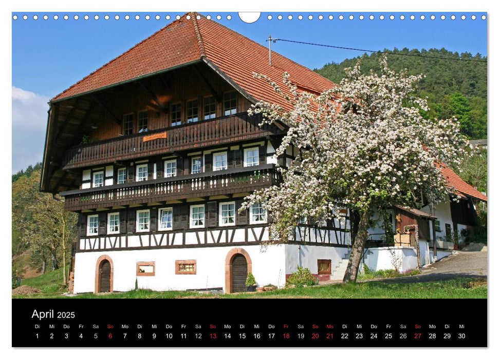 Die Ortenau (CALVENDO Wandkalender 2025)