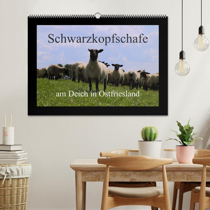 Schwarzkopfschafe am Deich in Ostfriesland (CALVENDO Wandkalender 2025)
