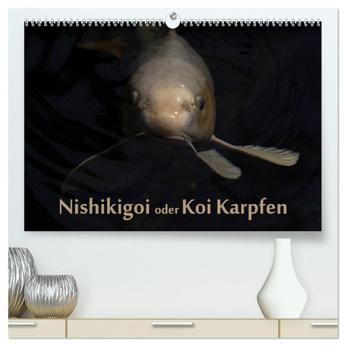 Nishikigoi oder Koi Karpfen (CALVENDO Premium Wandkalender 2025)