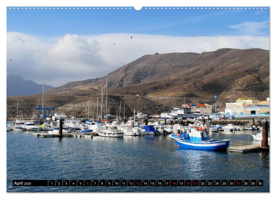 Fuerteventura, Insel der Stille (CALVENDO Wandkalender 2025)