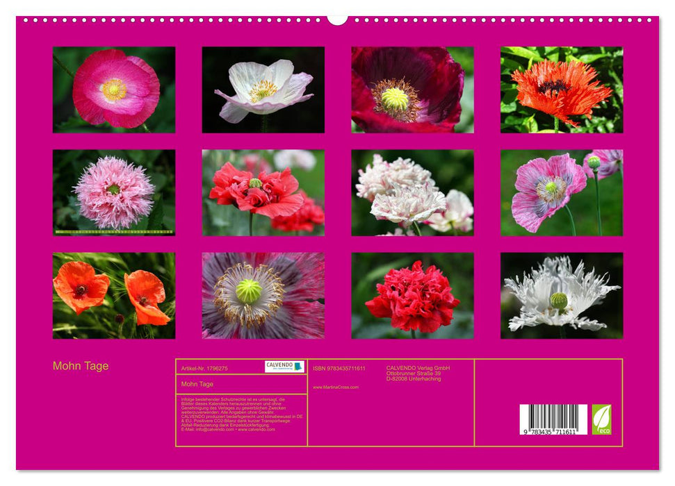 Mohn Tage (CALVENDO Premium Wandkalender 2025)