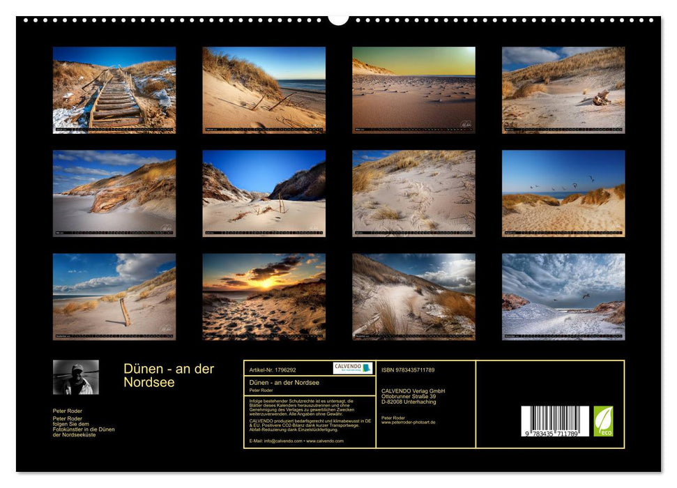 Dünen - an der Nordsee (CALVENDO Premium Wandkalender 2025)