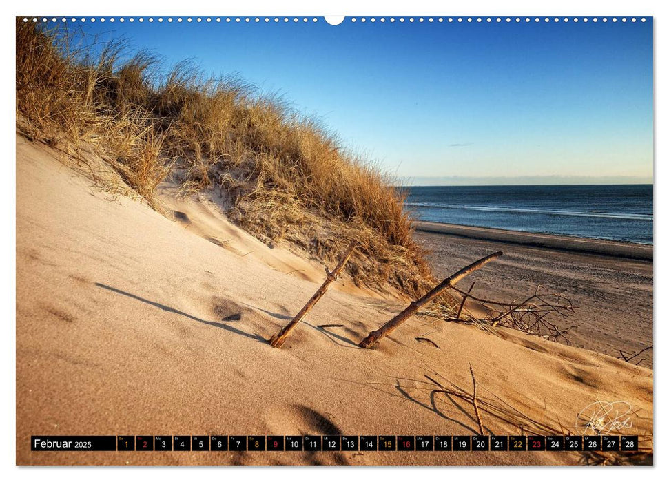 Dünen - an der Nordsee (CALVENDO Premium Wandkalender 2025)