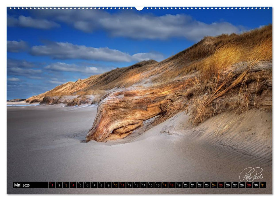 Dünen - an der Nordsee (CALVENDO Premium Wandkalender 2025)