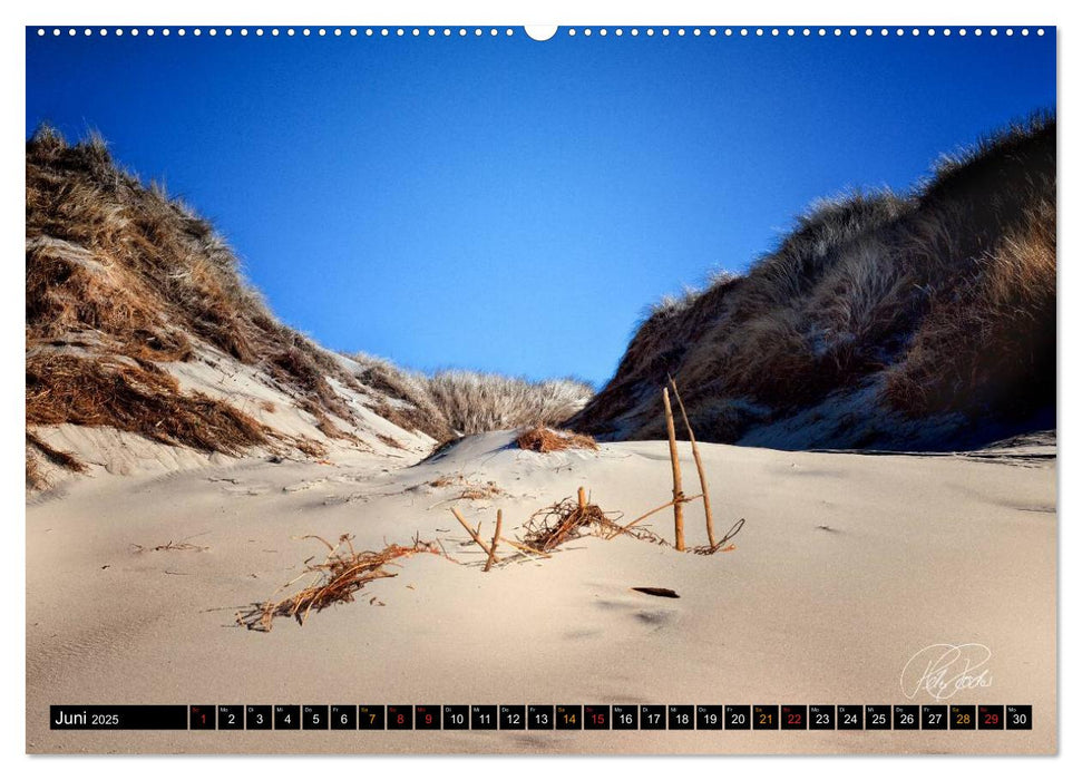 Dünen - an der Nordsee (CALVENDO Premium Wandkalender 2025)