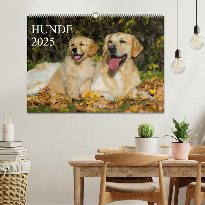 Hunde - Treue Freunde für´s Leben (CALVENDO Wandkalender 2025)