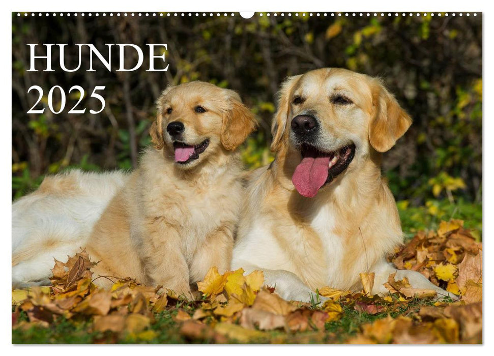 Hunde - Treue Freunde für´s Leben (CALVENDO Wandkalender 2025)