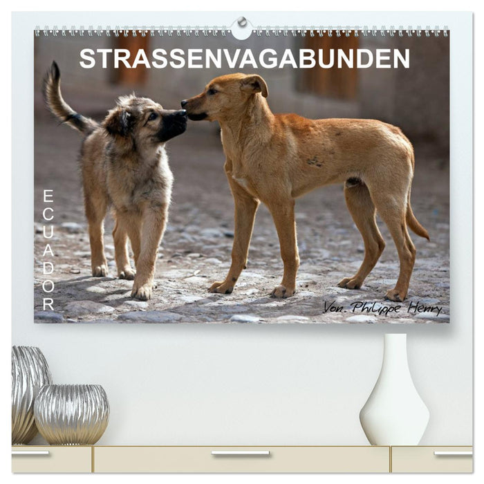 STRASSENVAGABUNDEN (CALVENDO Premium Wandkalender 2025)