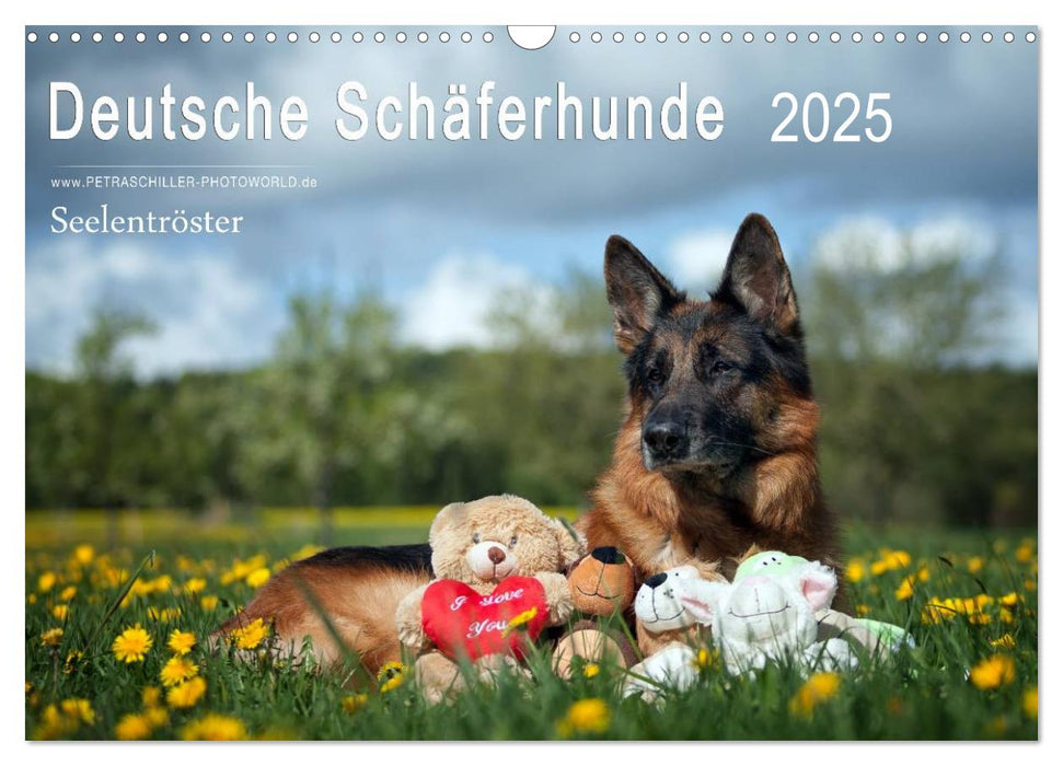 Deutsche Schäferhunde Seelentröster (CALVENDO Wandkalender 2025)