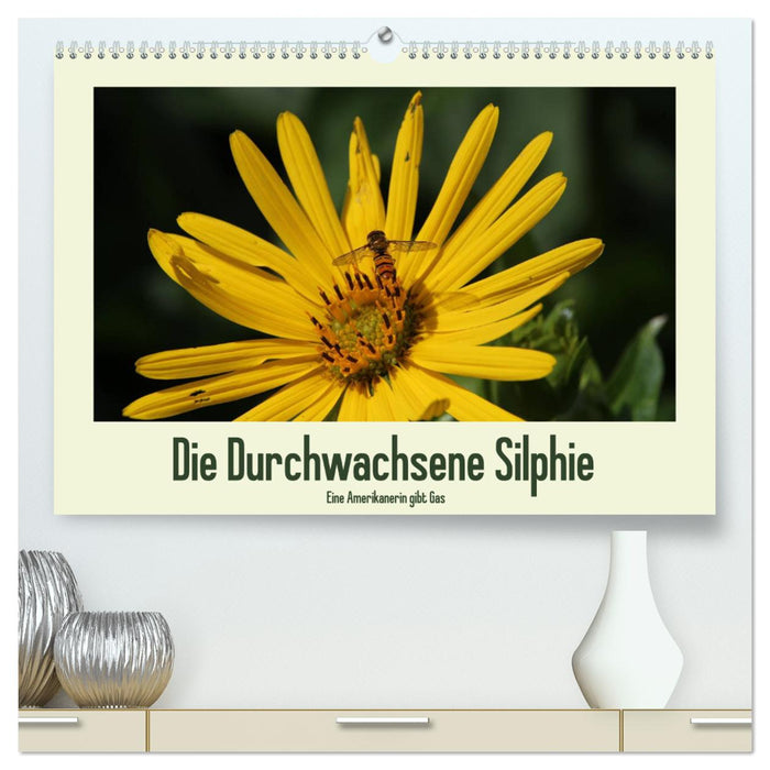 Die Durchwachsene Silphie - Eine Amerikanerin gibt Gas / CH-Version (CALVENDO Premium Wandkalender 2025)